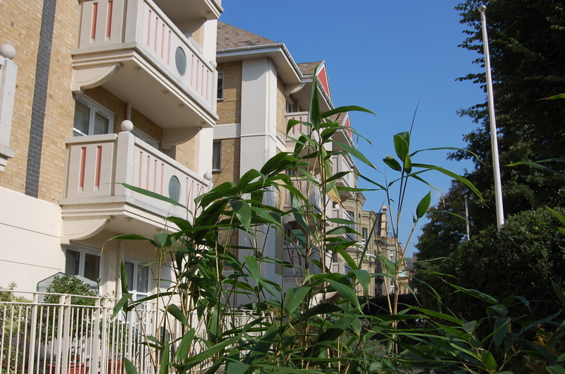 Vanbrugh Court from the driveway